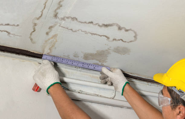 Reliable Structural Drying contractor in Prudenville, MI by Water Damage Irwin